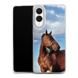 Silikonskal Slim genomskinlig