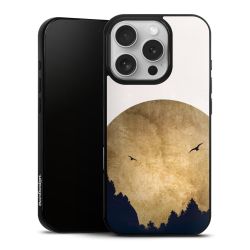 Deux oiseaux et la lune