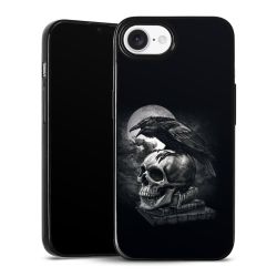 Poe's Raven
