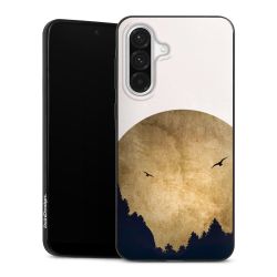 Twee vogels en de maan