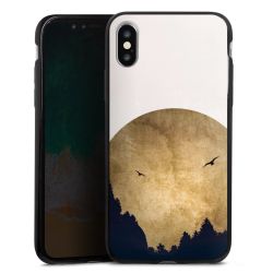 Twee vogels en de maan