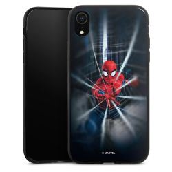 Toile Spider-Man