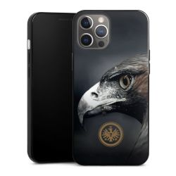 Eintracht Adler Design