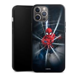 Spider-Man Webs In Action