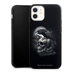 Poe's Raven