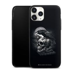 Poe's Raven