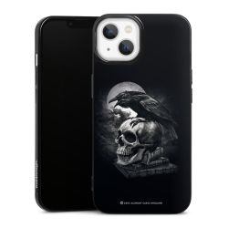 Poe's Raven
