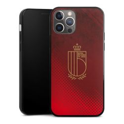 Logo van het Belgische nationale team