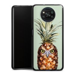 Ananas Kauz