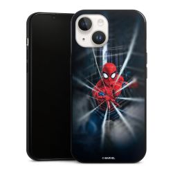 Toile Spider-Man