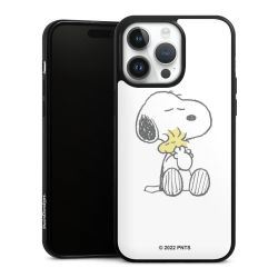 Câlin Snoopy & Woodstock