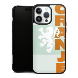 Oranje Nederlands Elftal