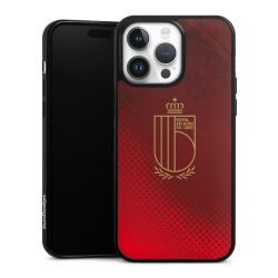 Logo van het Belgische nationale team