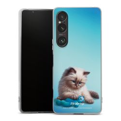 Silikonskal genomskinlig