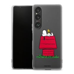 Silikonskal genomskinlig