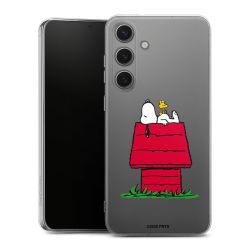 Silikonskal genomskinlig