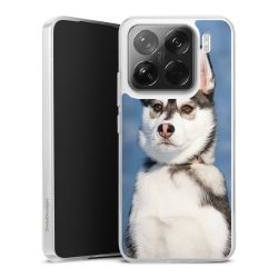 Silikonskal genomskinlig