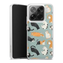 Silikonskal genomskinlig