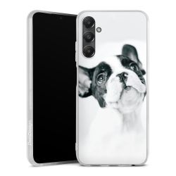 Silikonskal genomskinlig