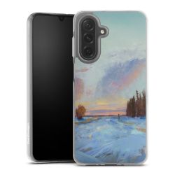 Silikonskal genomskinlig