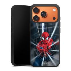 Spider-Man Webs In Action