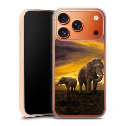 Silicone Case transparent