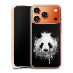 Silikonskal genomskinlig