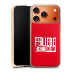 Silikon Case transparent