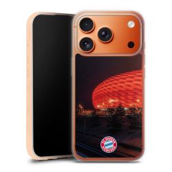 Allianz Arena bei Nacht FCB