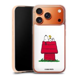 Snoopy and Woodstock Klassiek