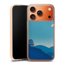 Silikonskal genomskinlig