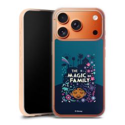 Silikonskal genomskinlig