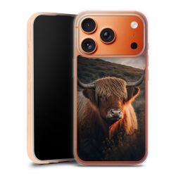 Silikonskal genomskinlig