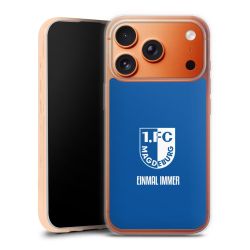 Silikon Case transparent