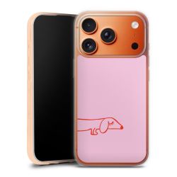 Silikonskal genomskinlig