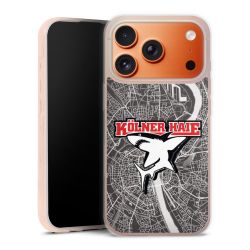 Kölner Haie City