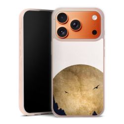 Twee vogels en de maan