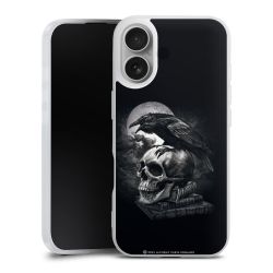 Poe's Raven