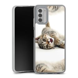 Silikonskal genomskinlig