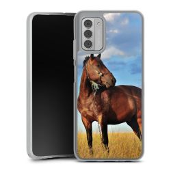 Silikonskal genomskinlig