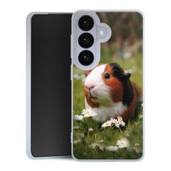 Silikonskal genomskinlig