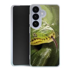 Silikonskal genomskinlig