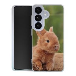 Silikonskal genomskinlig