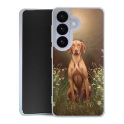 Silikonskal genomskinlig