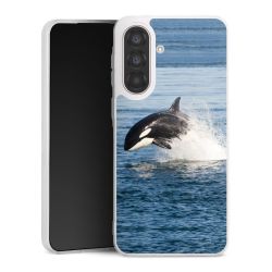 Silikonskal genomskinlig