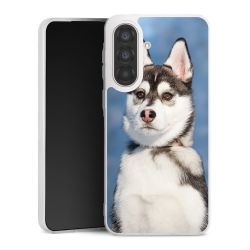 Silikonskal genomskinlig