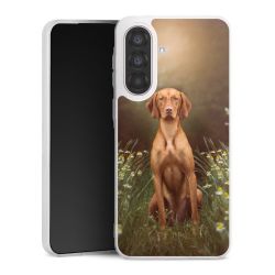 Silikonskal genomskinlig