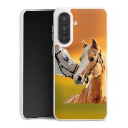 Silikonskal genomskinlig