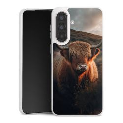 Silikonskal genomskinlig