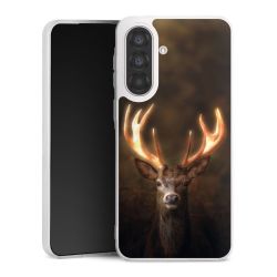 Silikonskal genomskinlig